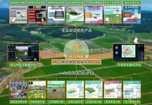 四情監測系統助力三明沙縣智慧茶園科學管控，提產增效